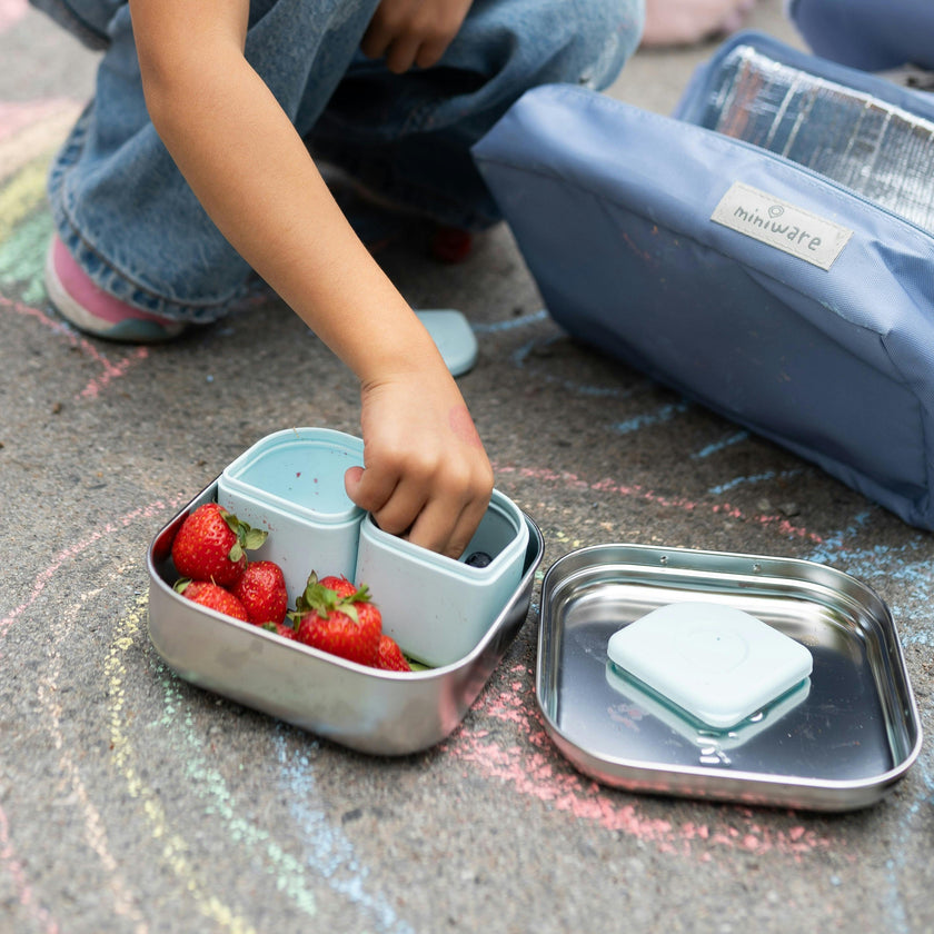 GrowBento: All Ages Bento Box - Chrome + Aqua