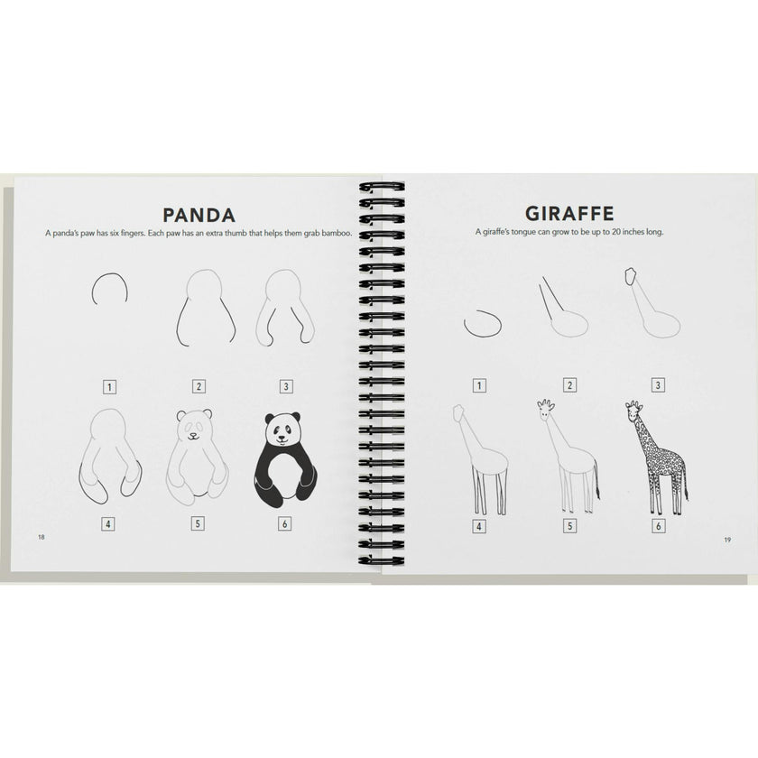 How to Draw All the Animals (Spiral)