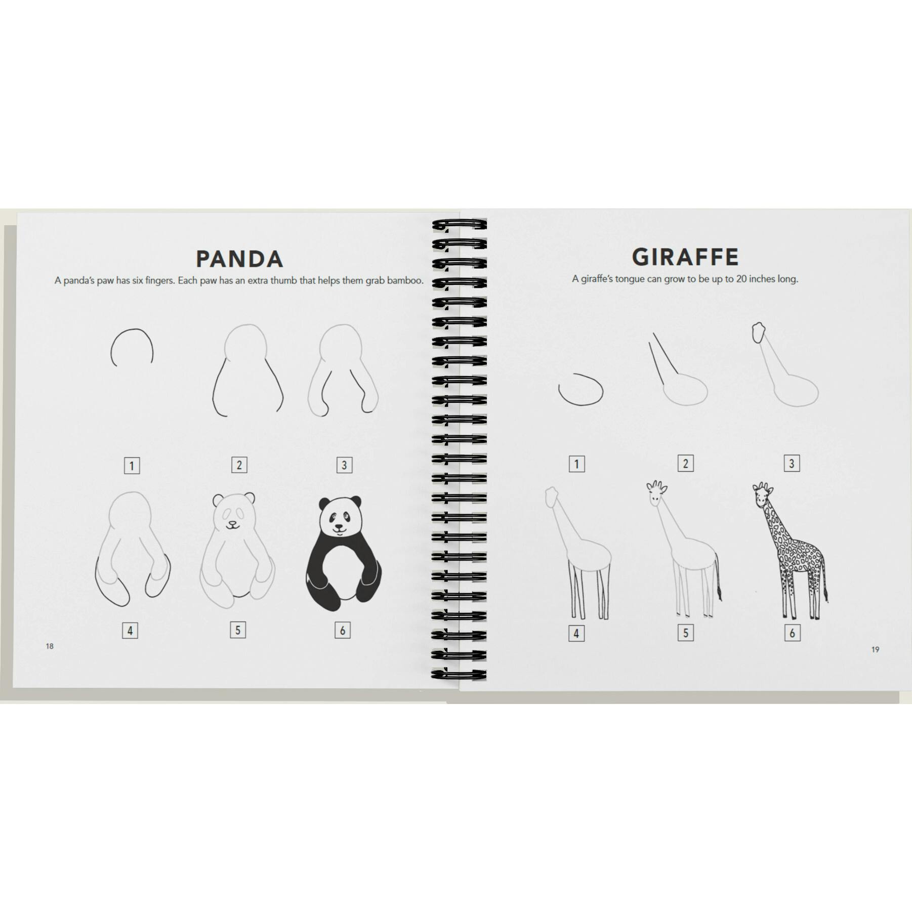 How to Draw All the Animals (Spiral)
