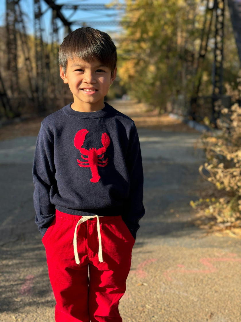 SNAPPY Navy Lobster Sweater