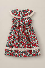 Mini Aster Dress in Red Roses