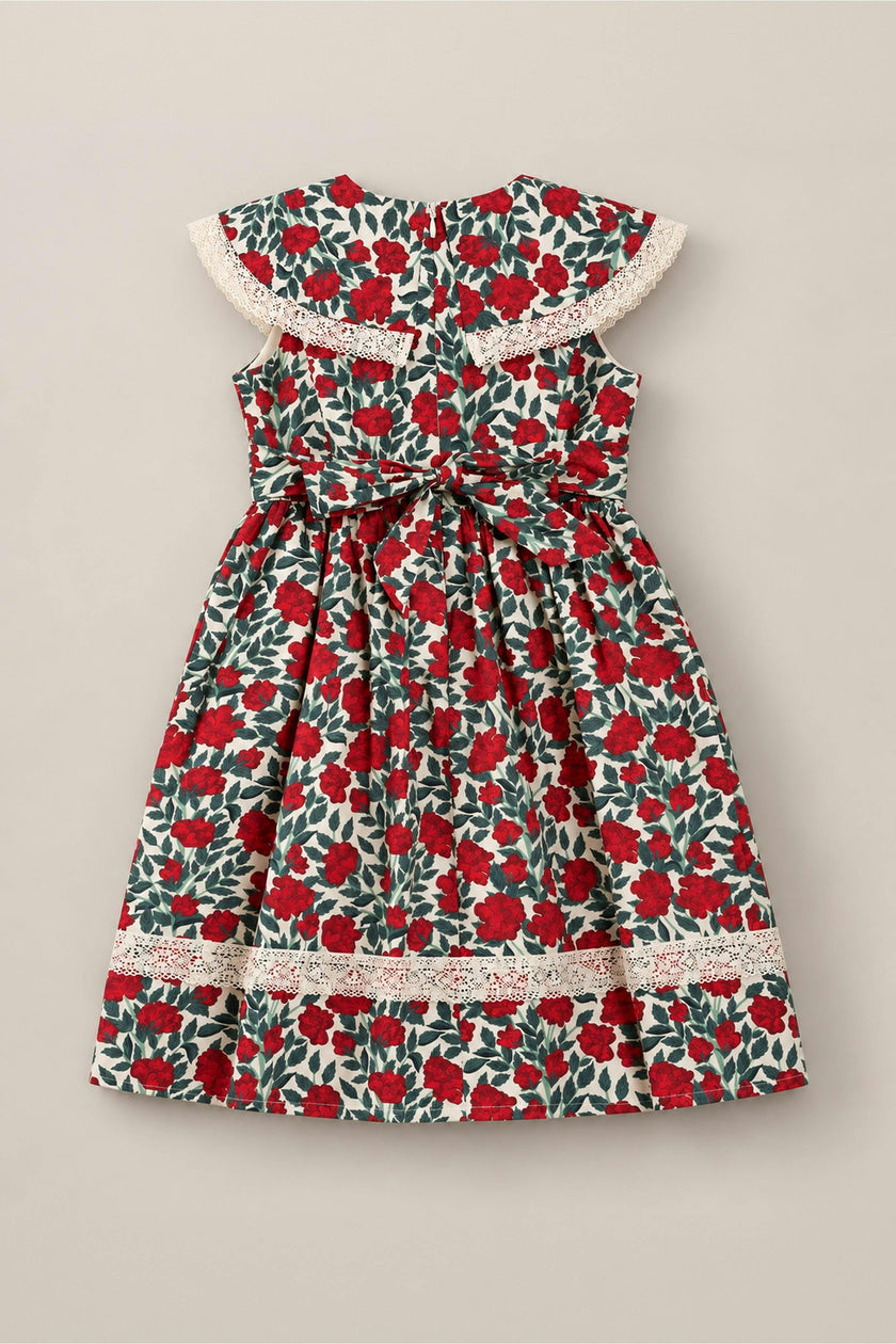 Mini Aster Dress in Red Roses
