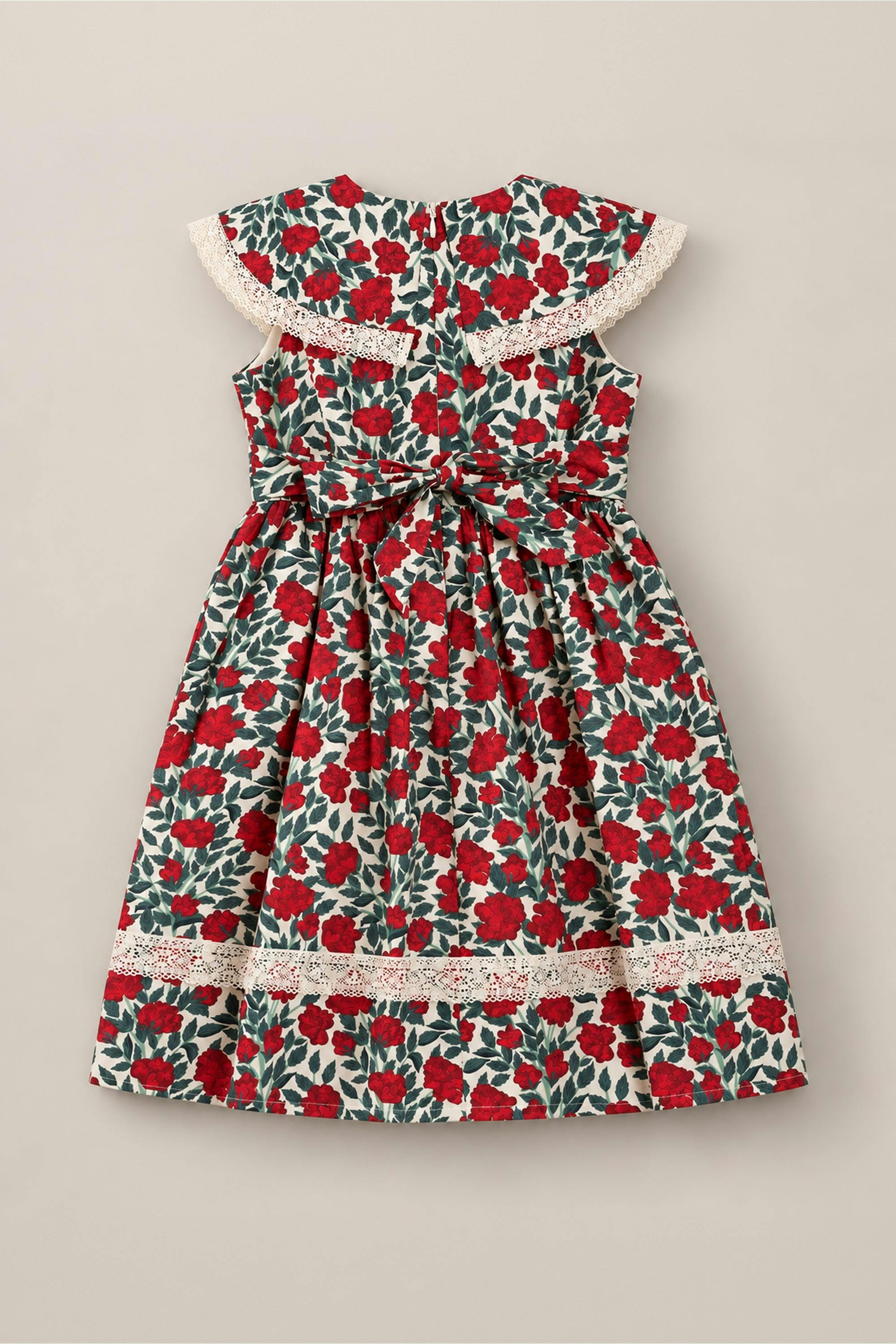 Mini Aster Dress in Red Roses