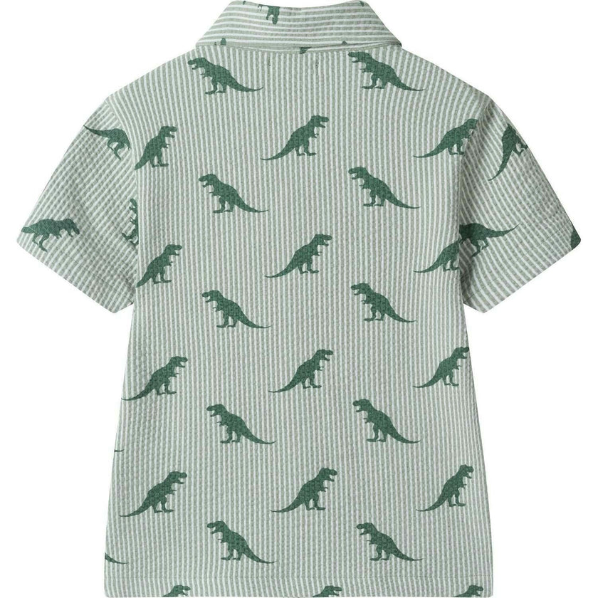 Boys Short Sleeve Cabana Set | Green Stripe Dino