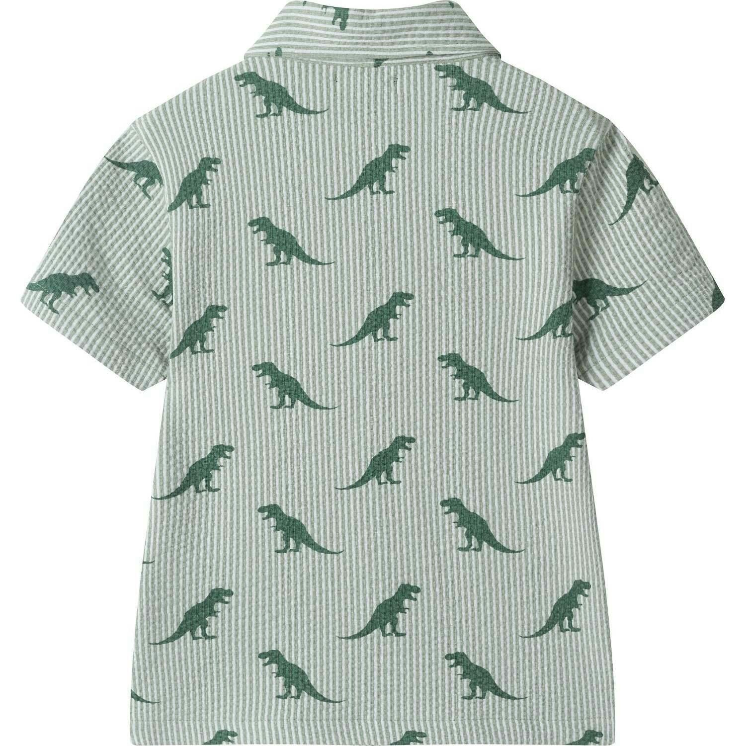 Boys Short Sleeve Cabana Set | Green Stripe Dino