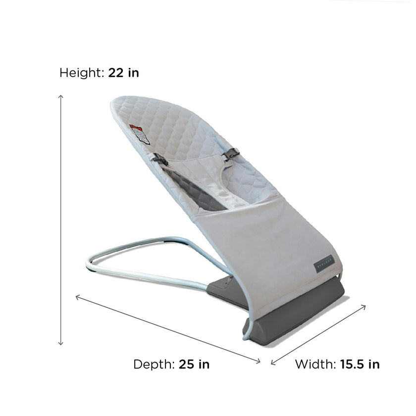 Evrloop Bouncer Chair
