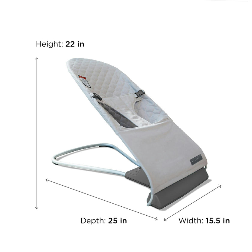 Evrloop Bouncer Chair