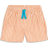 Baby swim trunk in stripe