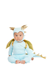 Sky Blue Dragon Costume