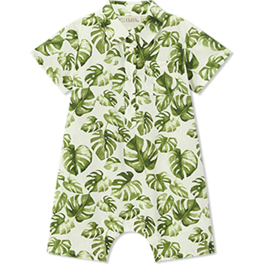 Island Leaf Collared Shortall