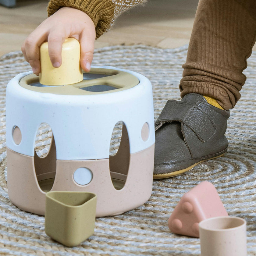 Tiny BIO: Shape Sorter