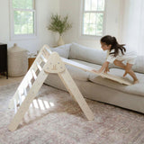 Classic Climber Playset