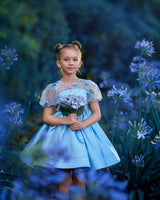 Celestial Butterfly Blue Sequin Tulle Birthday Dress for Girls