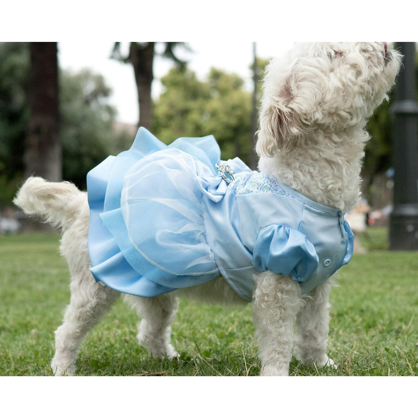 Disney Cinderella Dress, Blue