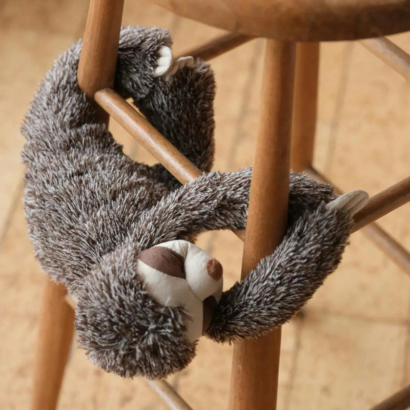 Sunny the sloth