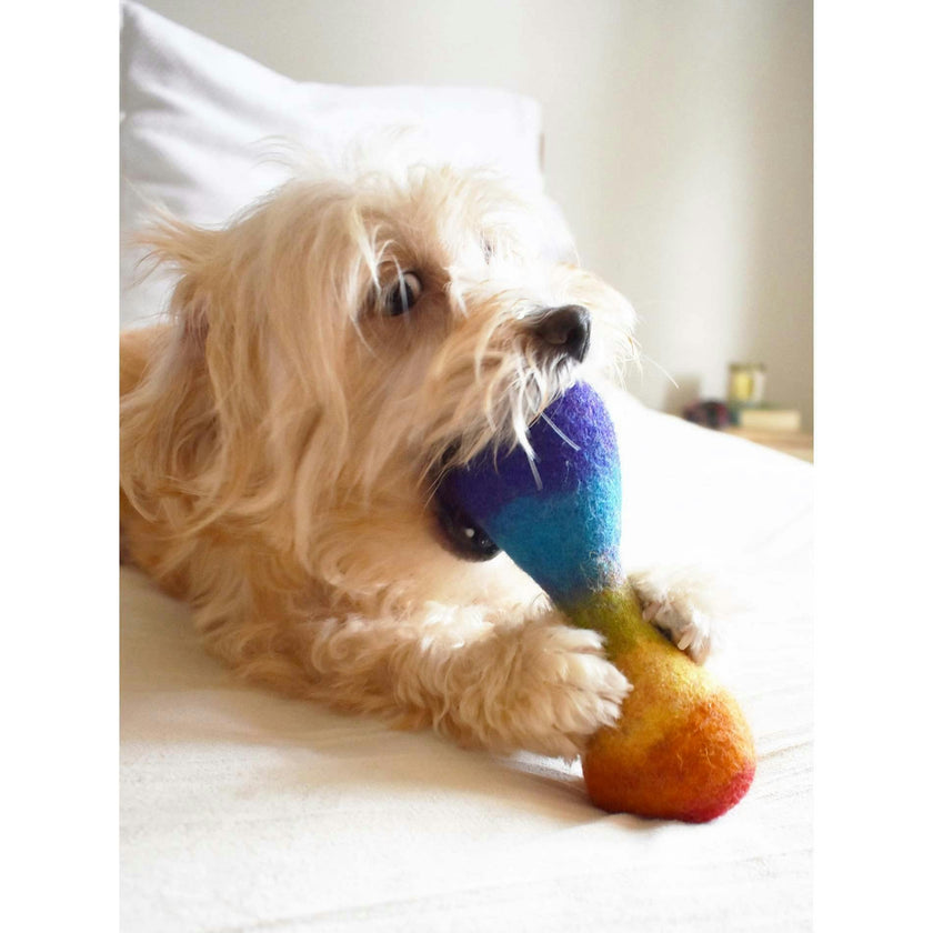 WOOL RAINBOW BONE, Multi