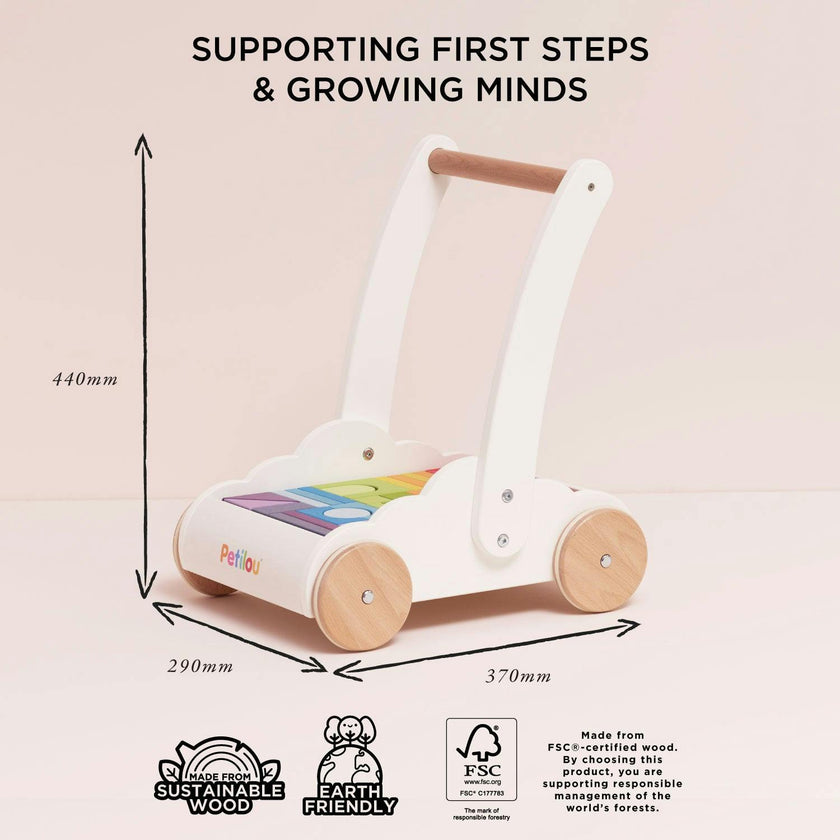 Rainbow Baby Walker & Puzzle
