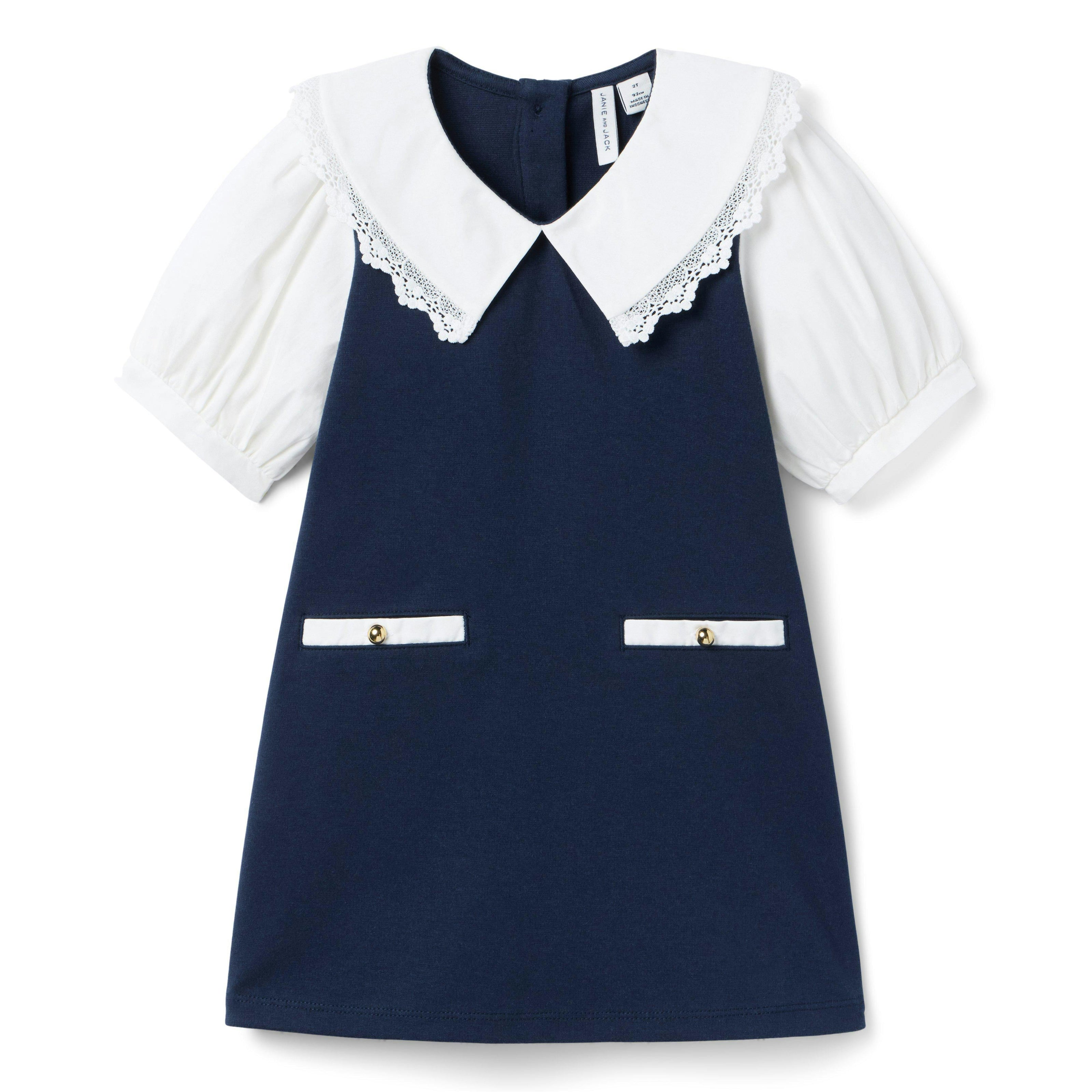 Lace Trim Collar Ponte Dress, navy blue