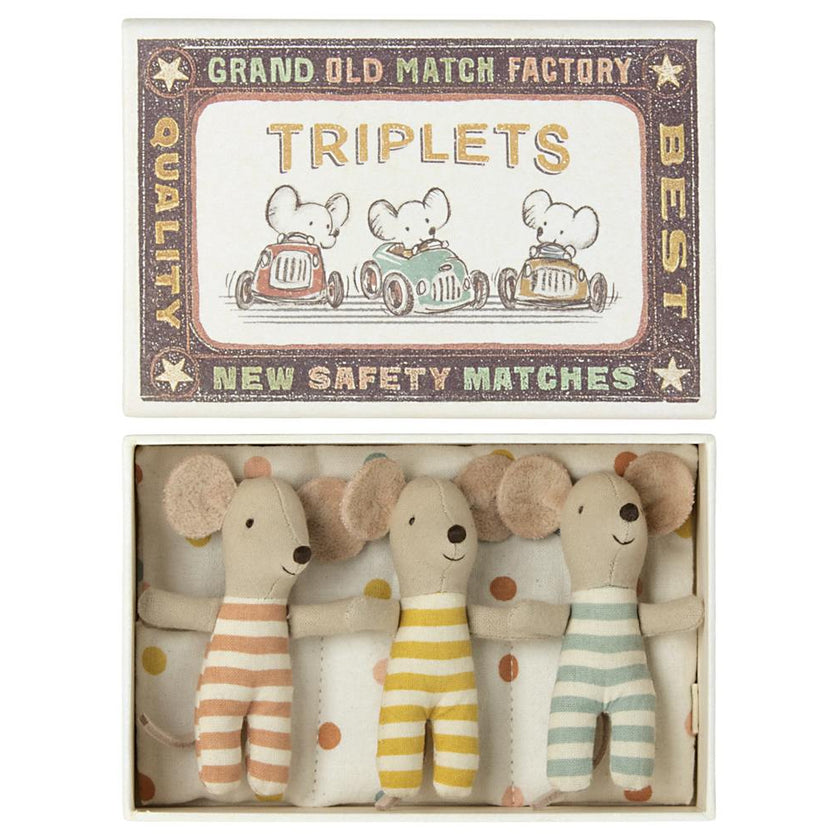 Baby Mouse Triplets in Box