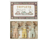 Baby Mouse Triplets in Box