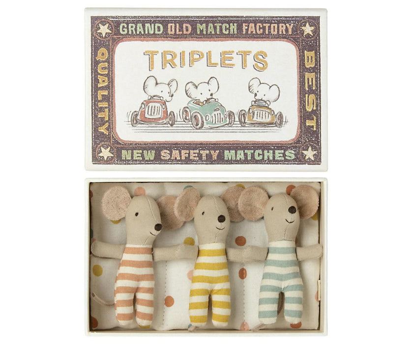 Baby Mouse Triplets in Box