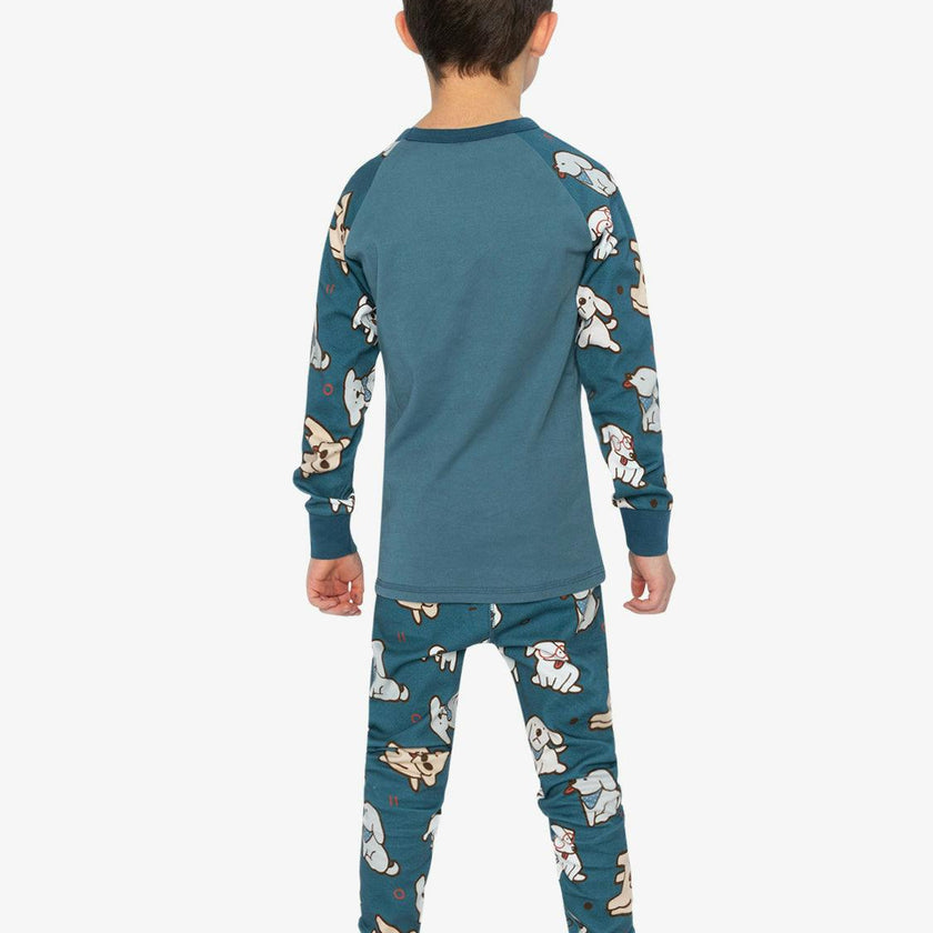 Organic Cotton Two Piece Pajama Set Turquoise Dog Print