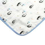Blanket