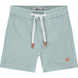 Striped Swim Shorts