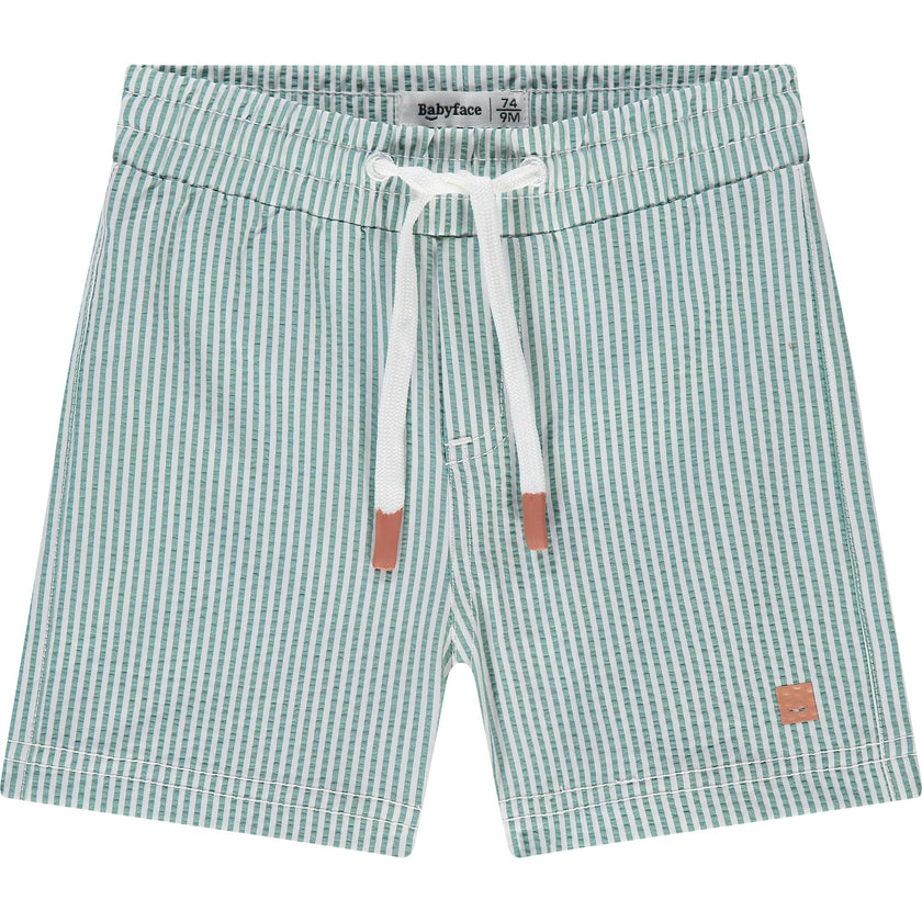 Striped Swim Shorts