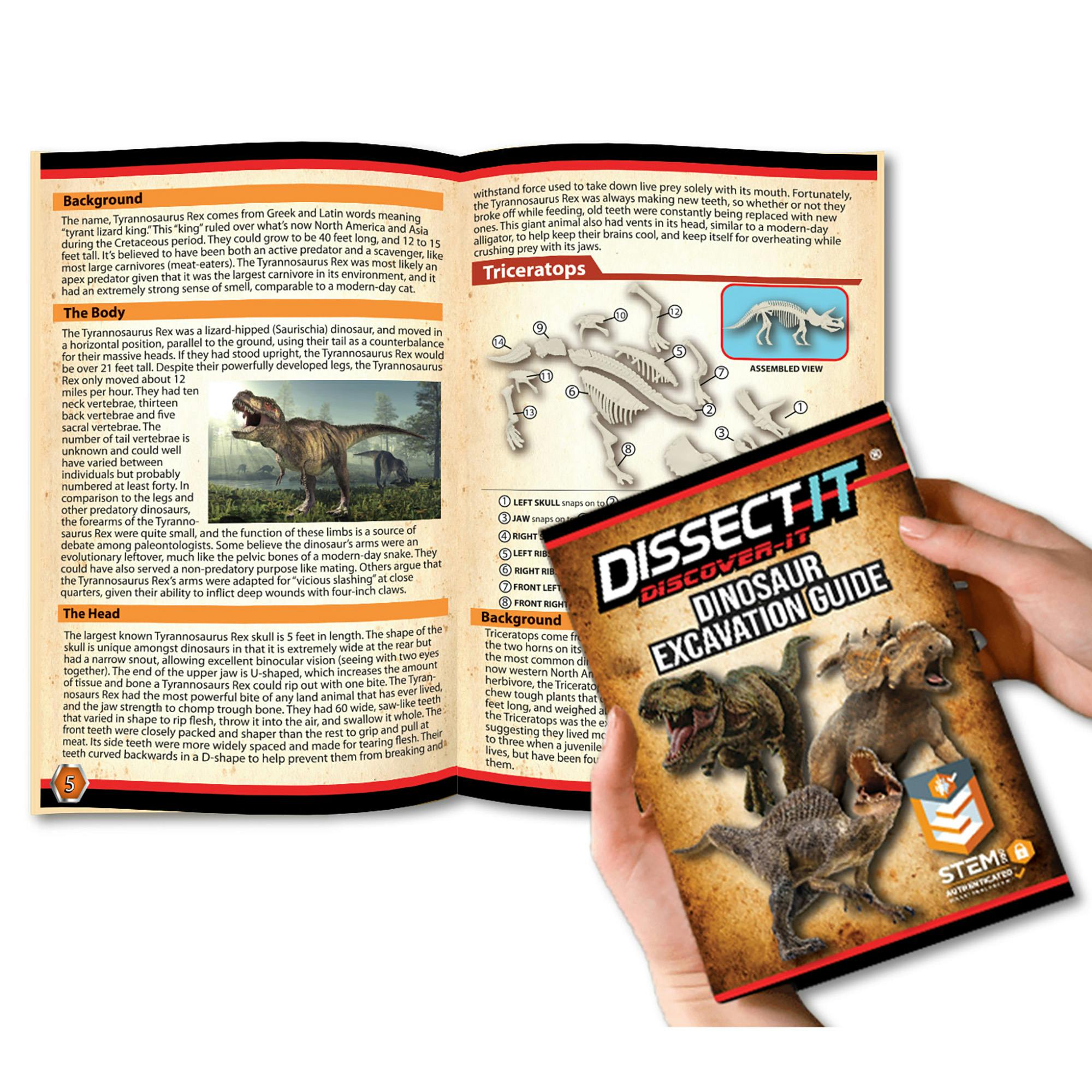 Dissect-It: Dino Dig