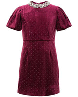 Elisa Velvet Mini Dress