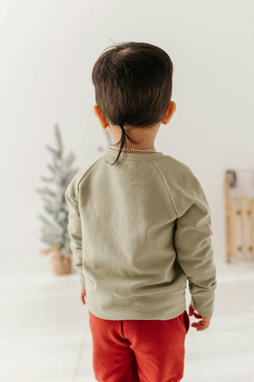 Boys Raglan Sweatshirt in Christmas Truck on Evergreen