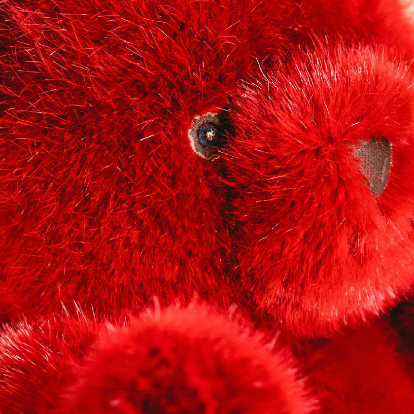 Robert the Bear | Red