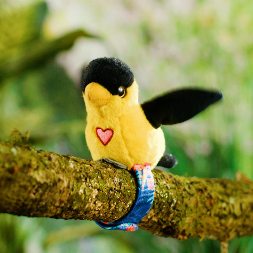 Happy Yappers: Birds 2 pk - Oriole & Red Parrot