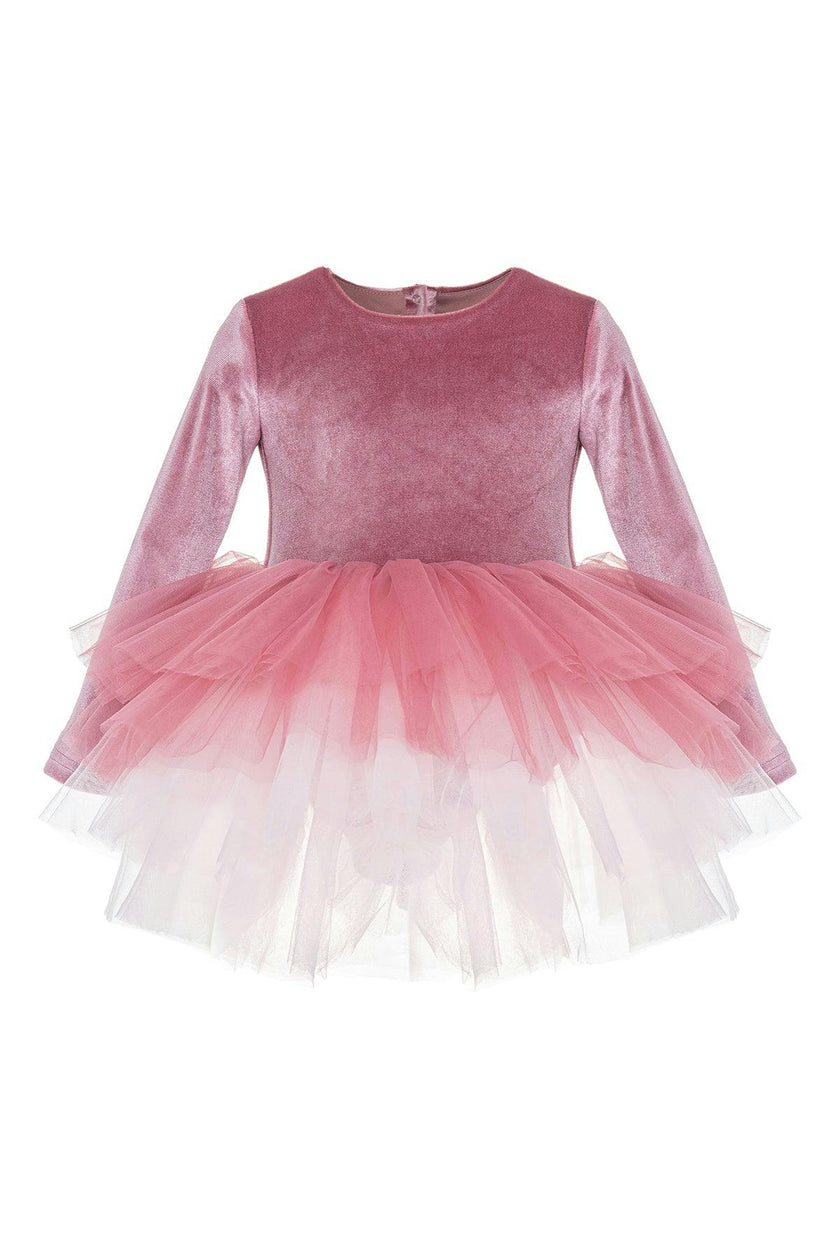 Dusty Rose Velvet Tutu Dress