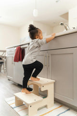 The Step Stool