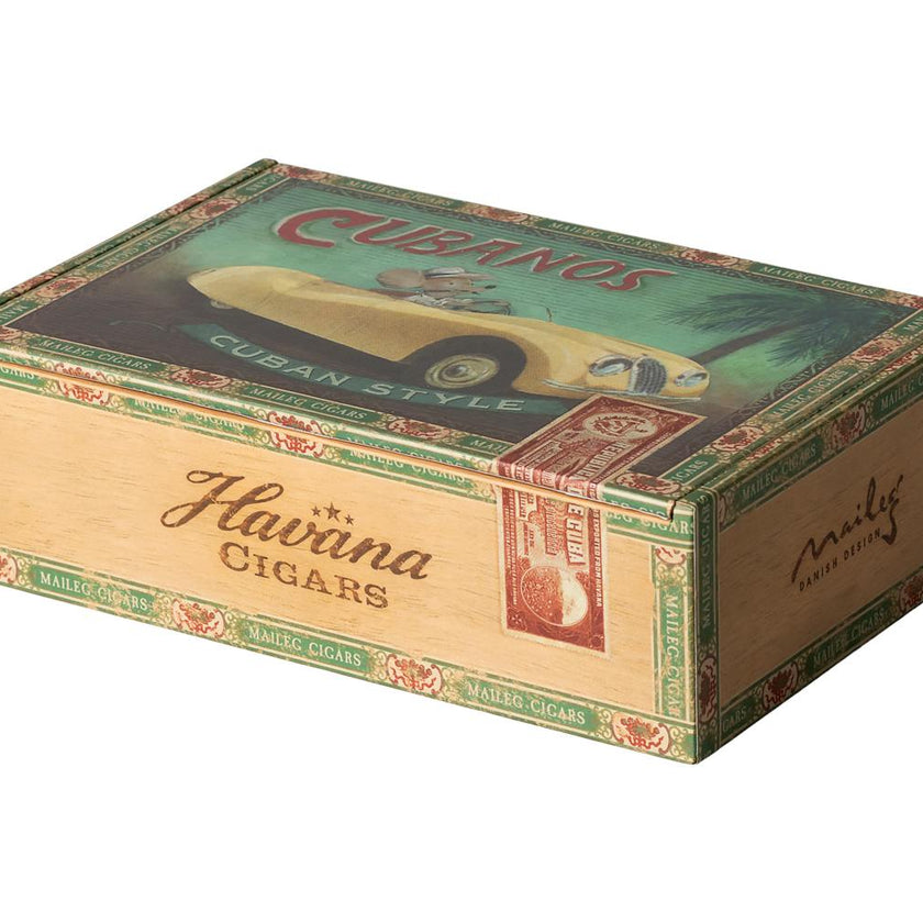 Grandma and grandpa mice in cigarbox