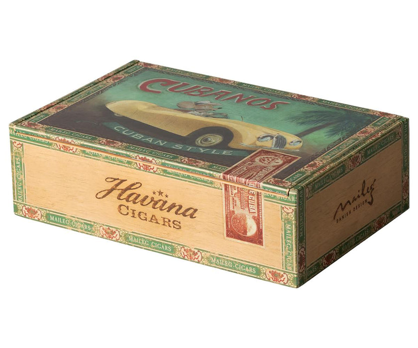 Grandma and grandpa mice in cigarbox