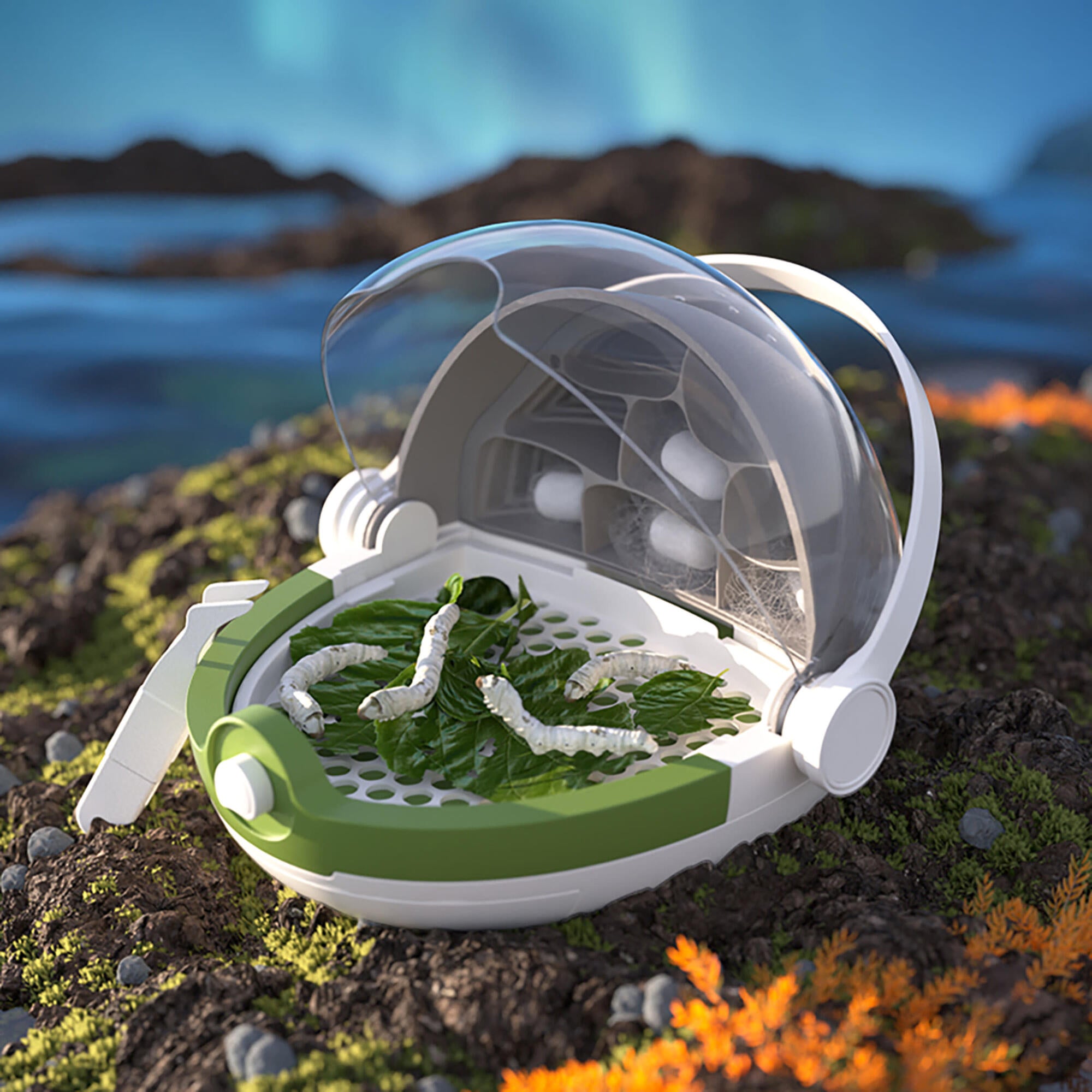 Hape: Science Can: Insects Growth Station
