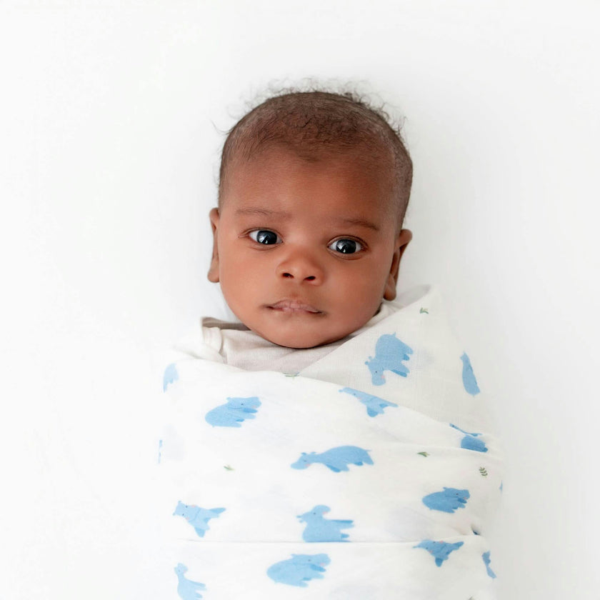 Swaddle Set