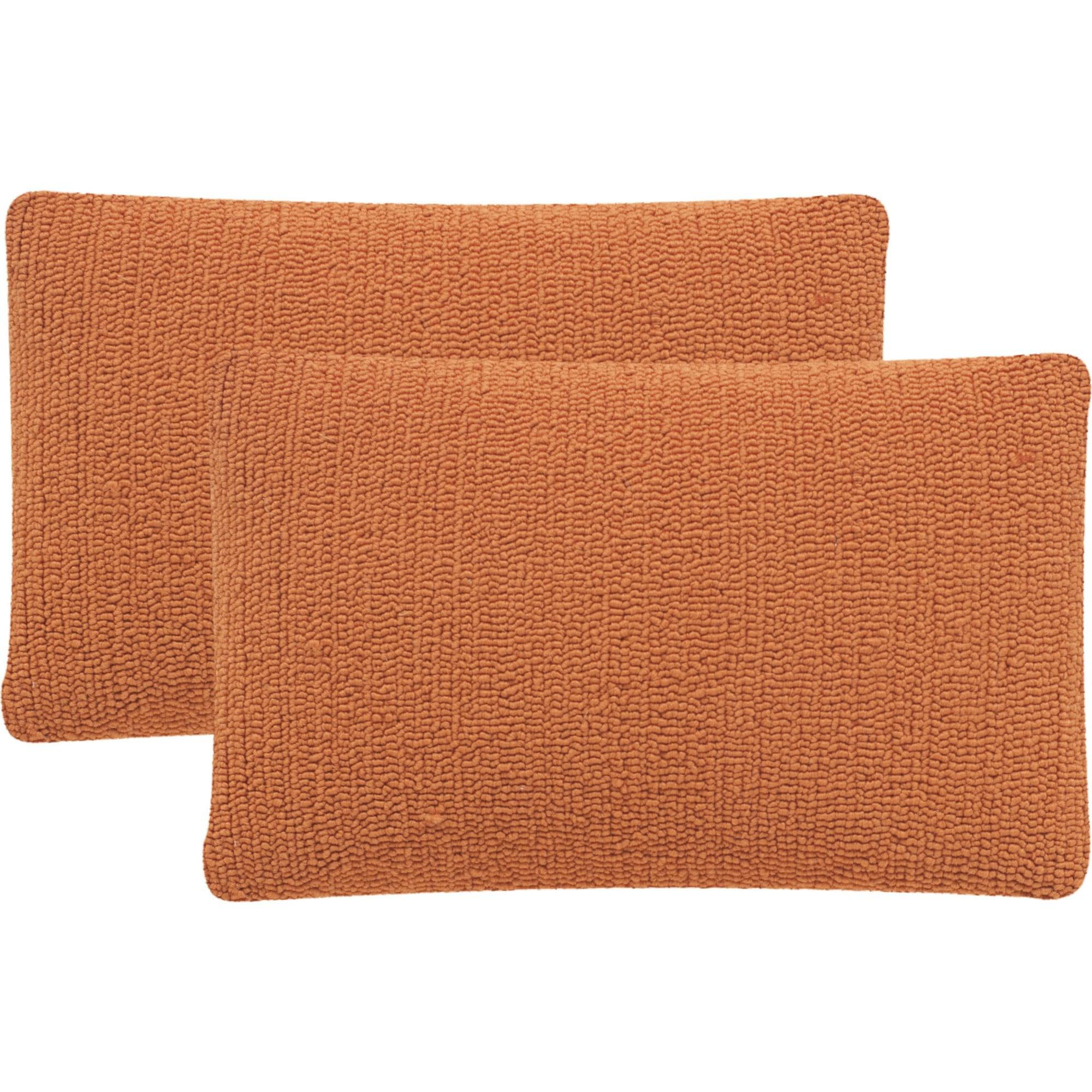 Set of 2 Soleil Solid Indoor/Outdoor Pillow