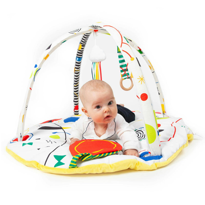 Baby Artist Play Gym