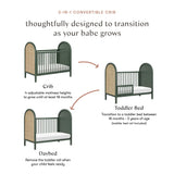 Babyletto Bondi Cane 3-in-1 Convertible Crib with Toddler Bed Conversion Kit