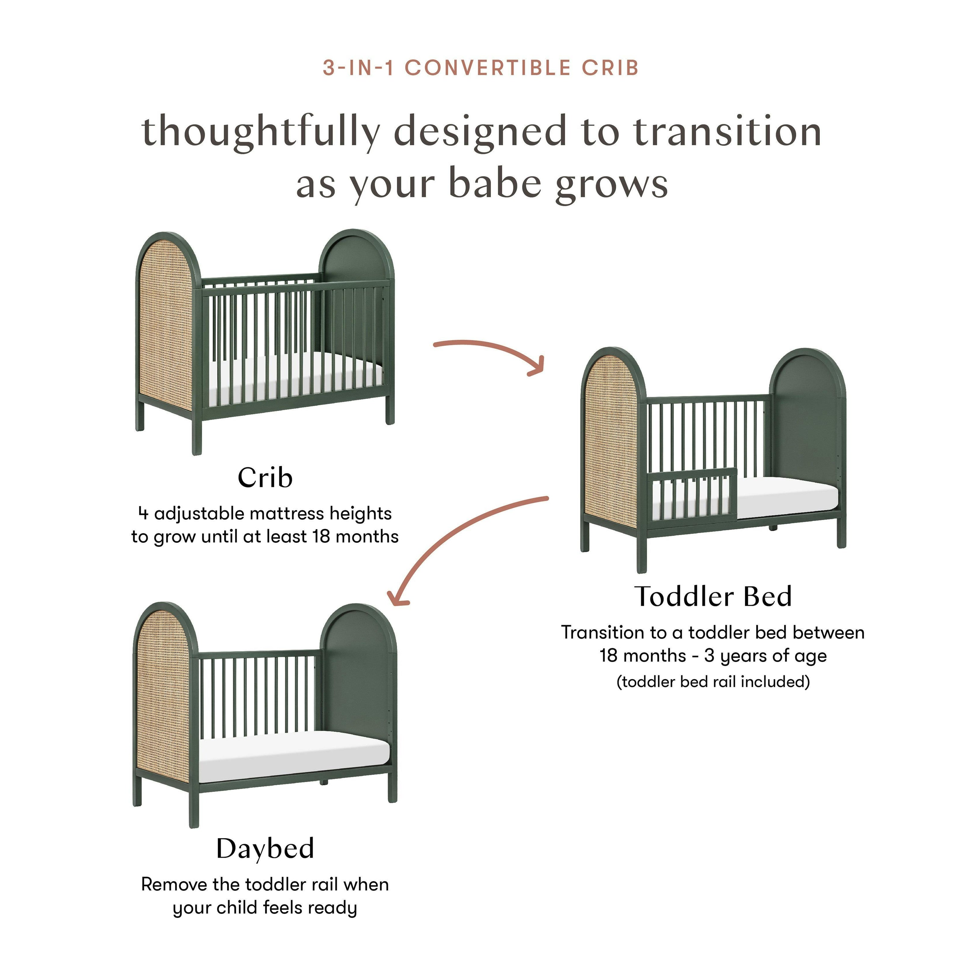 Babyletto Bondi Cane 3-in-1 Convertible Crib with Toddler Bed Conversion Kit