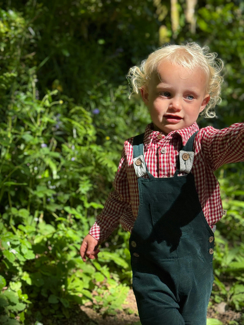 HARRISON Navy cord overalls