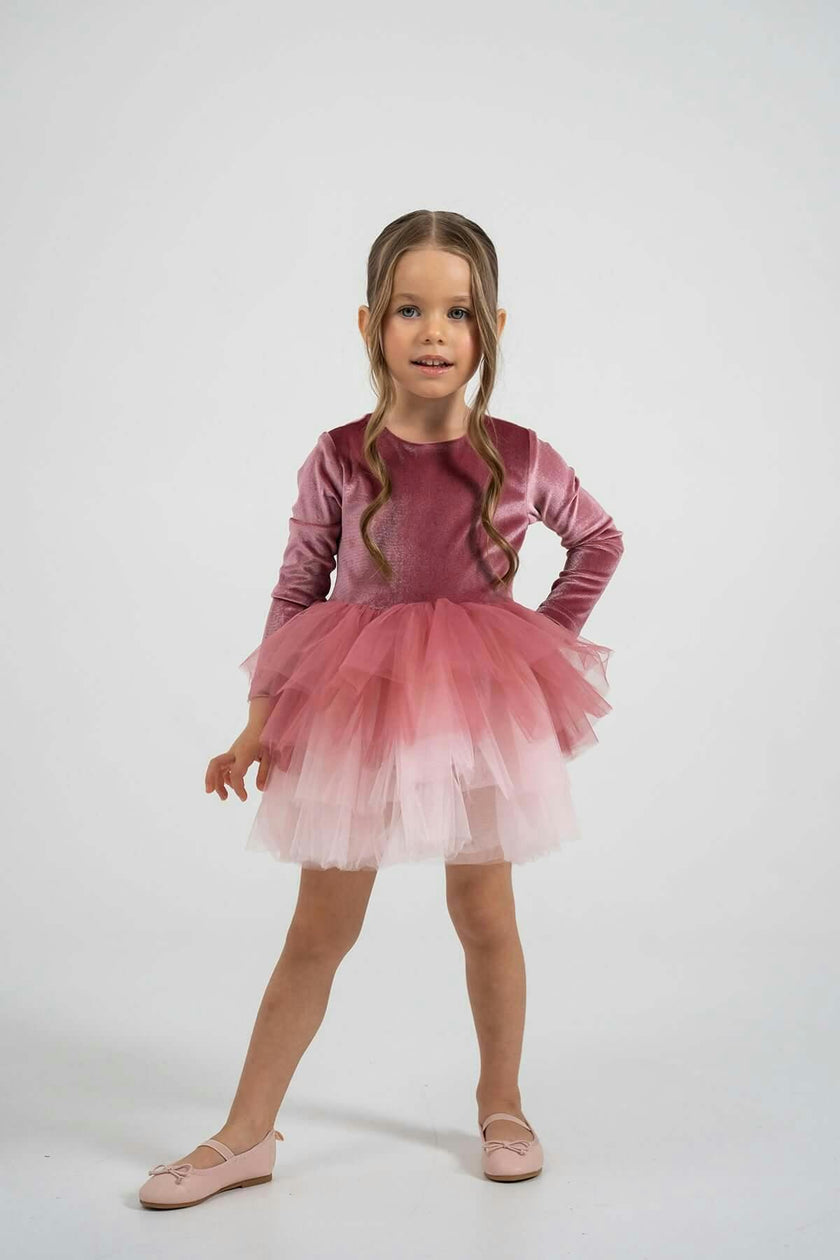 Dusty Rose Velvet Tutu Dress