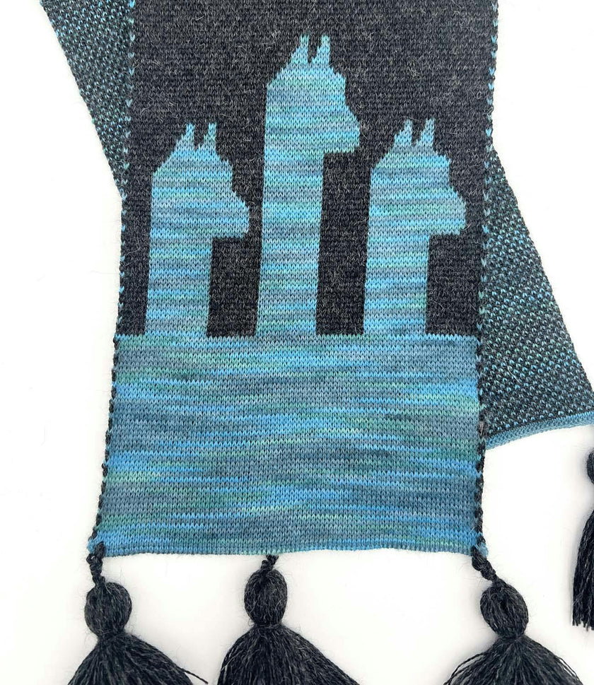 Kids Pacas Tassel Trim Scarf