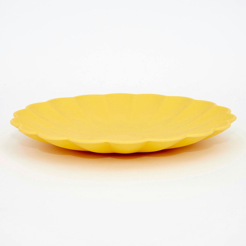 Small Multicolor Reusable Bamboo Plates