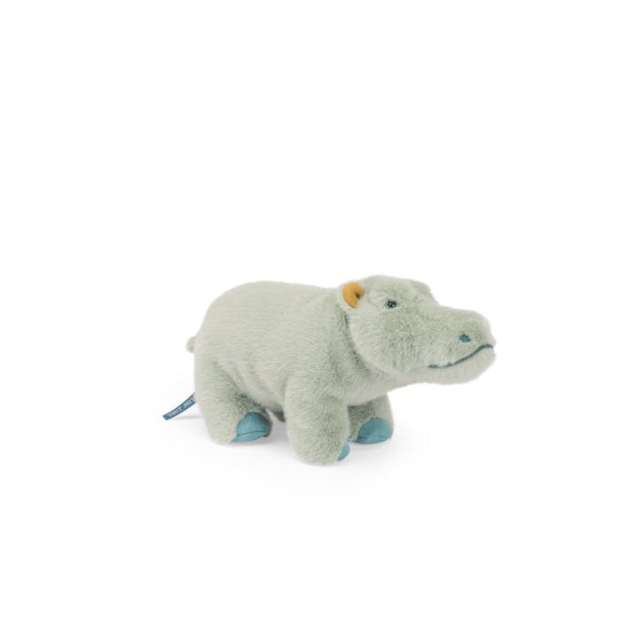 Small Hippopotamus - All Around The World