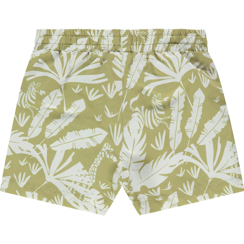 Swim Shorts